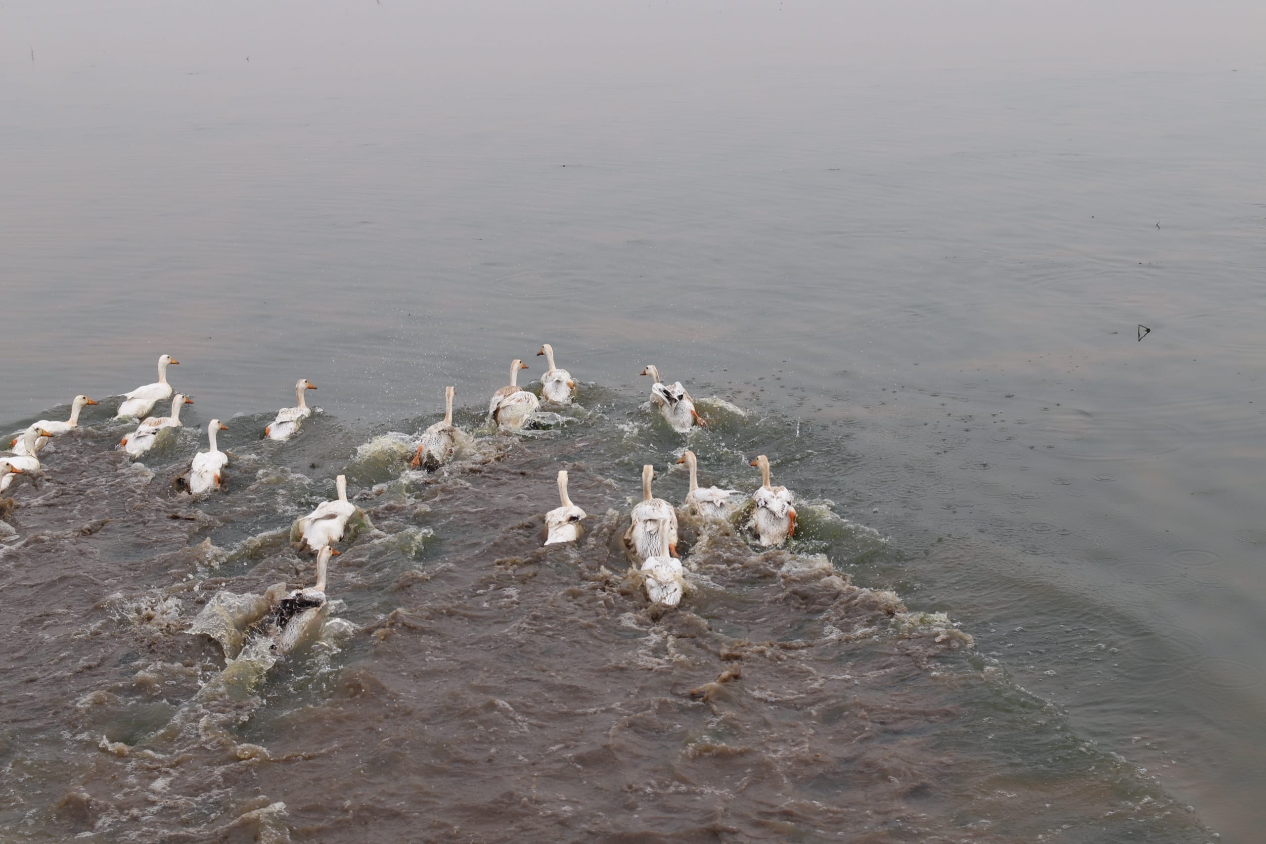 Ninh Binh Train Tour with Boat Ride and Lunch 21 ninh binh IMG 2555 2560 Ninh Binh Train Tour with Boat Ride and Lunch