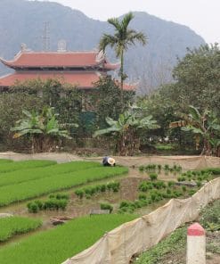 Ninh Binh Train Tour with Boat Ride and Lunch 12 ninh binh IMG 2578 2560 rotated Ninh Binh Train Tour with Boat Ride and Lunch