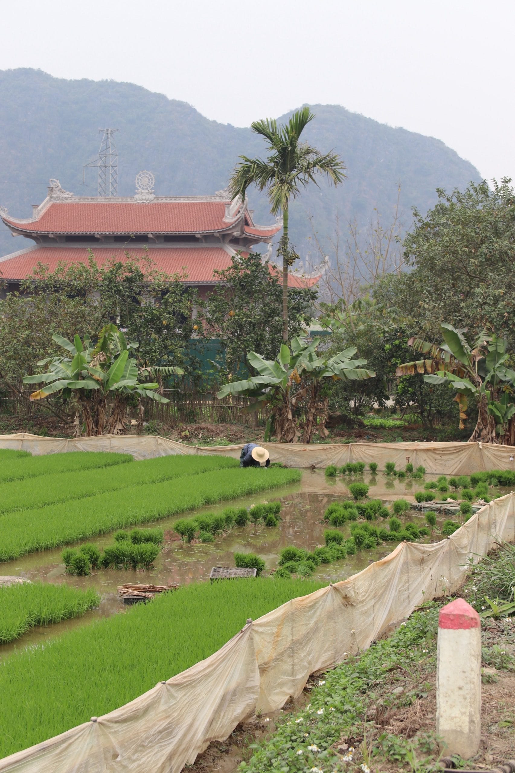 Ninh Binh Train Tour with Boat Ride and Lunch 4 Ninh Binh Train Tour with Boat Ride and Lunch - Image 4