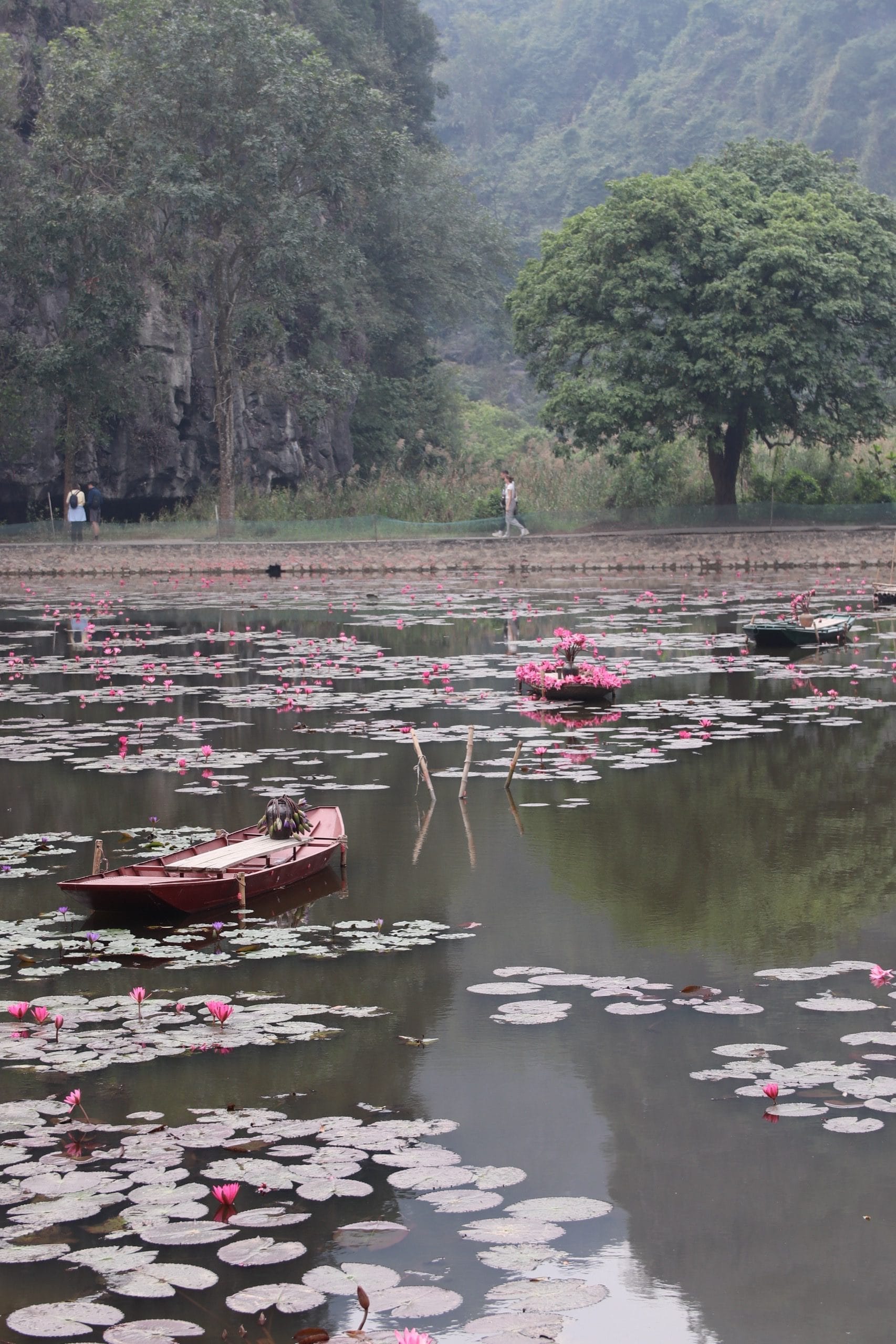 Ninh Binh Train Tour with Boat Ride and Lunch 5 Ninh Binh Train Tour with Boat Ride and Lunch - Image 5