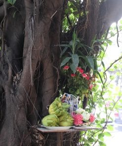 Spirit, Ancestor and Ghost Stories of Hanoi 10 hanoi spirit ancestor and ghost stories of hanoiIMG 3503 Spirit, Ancestor and Ghost Stories of Hanoi
